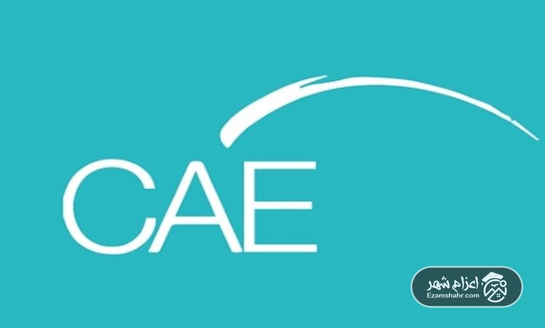 cae-min